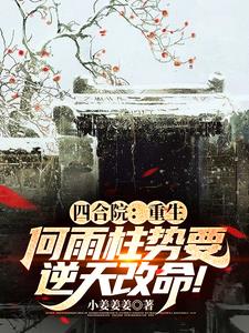 四合院:超级领悟力