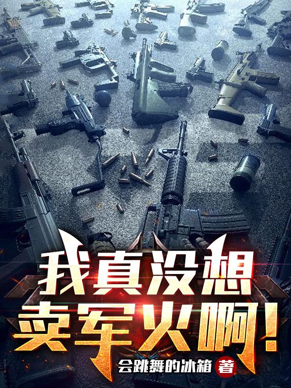 我真没想卖军火啊!