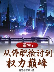 重生:从停职检讨到权力巅峰