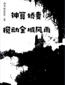 神算娇妻:搅动全城风雨