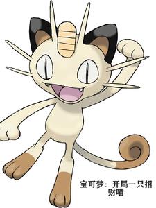 宝可梦:开局一只招财喵