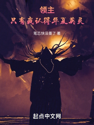 领主:只有我认得华夏英灵