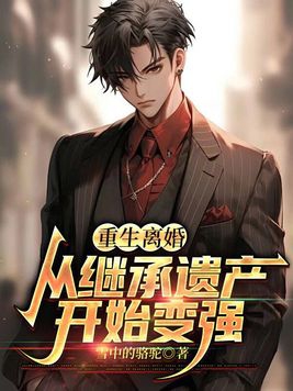 重生离婚:从继承遗产开始变强