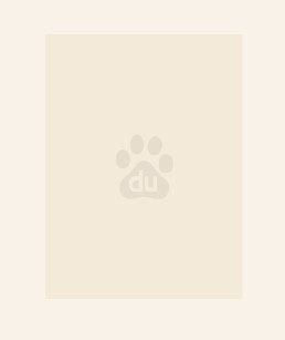 荒岛求生,最后我竟然成为了人生赢家?