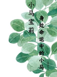 小马宝莉:命运制衡