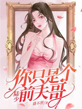 陆少,你只是个前夫哥