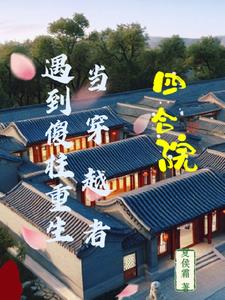 四合院:当穿越者遇到傻柱重生