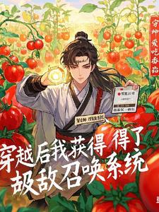 穿越后我获得了超级无敌召唤系统