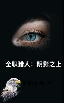 全职猎人:阴影之上