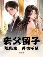 去父留子,陆先生,再也不见!